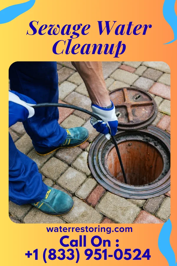 Sewage Water Cleanup in Lake Kerr, FL